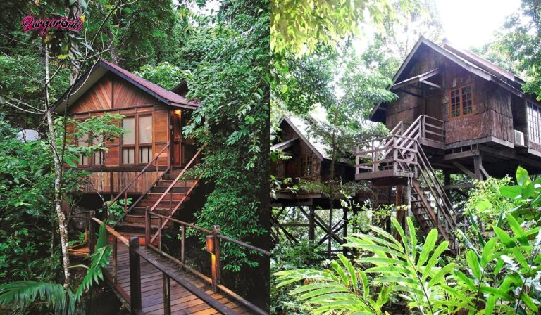 5 tree house di malaysia untuk pengalaman staycation yang unik ! 5 treehouse in malaysia for a unique staycation japamala resort tioman fox hill tree top