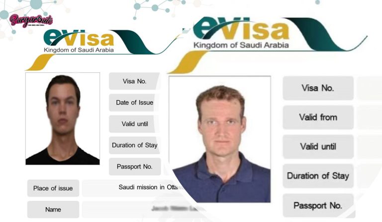 saudi new visa